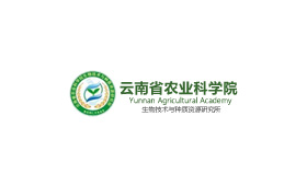 昆明網站建設|云南網站建設|昆明網站設計|昆明網站制作|云南網站制作|云南網站設計|承錦科技,昆明網站建設,云南網站建設,昆明網站設計,云南網站設計,昆明網站制作,云南網站制作,商城網站建設,政府網站建設,集團網站建設,電商平臺建設,高端網站建設,微網站建設